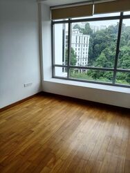 The Lanai (D23), Condominium #593622881
